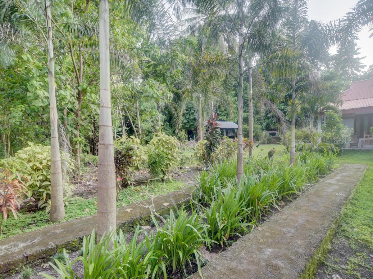 Oyo 90988 Tangkoko Jungle Homestay Rinondoran Екстер'єр фото