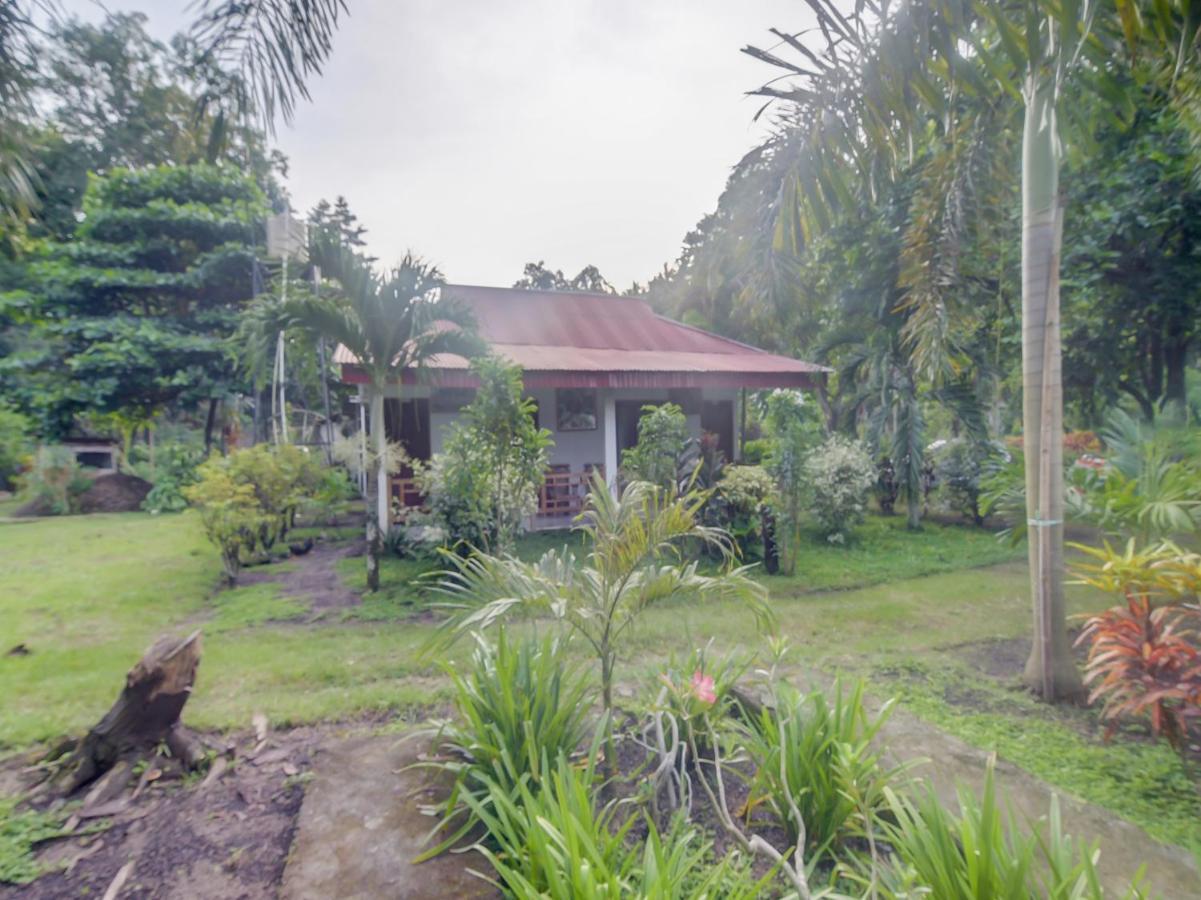 Oyo 90988 Tangkoko Jungle Homestay Rinondoran Екстер'єр фото